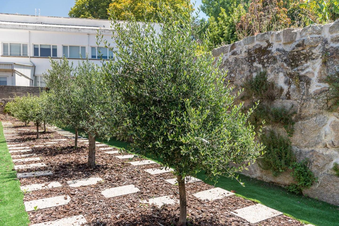 Guestready - Jardim Das Oliveiras Guesthouse - 2 Порту Экстерьер фото